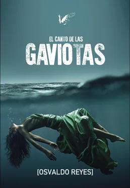 Osvaldo Reyes El canto de las gaviotas обложка книги
