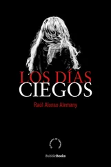 Raúl Alonso Alemany - Los días ciegos