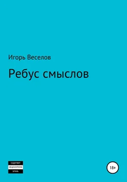 Игорь Веселов Ребус смыслов обложка книги