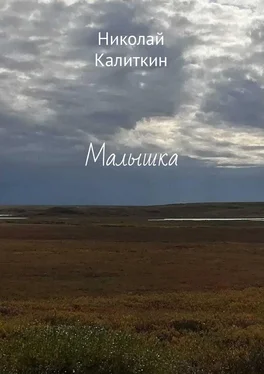 Николай Калиткин Малышка обложка книги