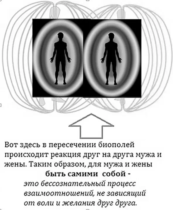 Биополя реагируют друг на друга независимо и поэтому соответственно реакции - фото 4