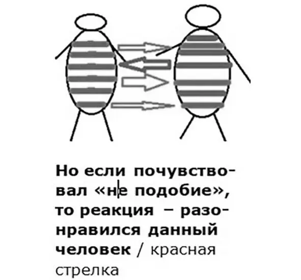 ПОДОБИЕ это когда две характерно разные части при воссоединении образуют - фото 9
