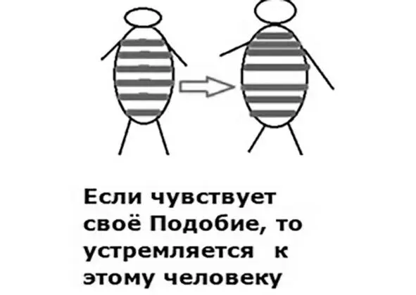 ПОДОБИЕ это когда две характерно разные части при воссоединении образуют - фото 10
