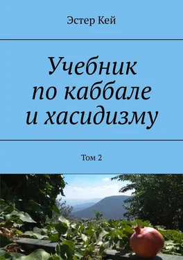 Эстер Кей Учебник по каббале и хасидизму. Том 2 обложка книги