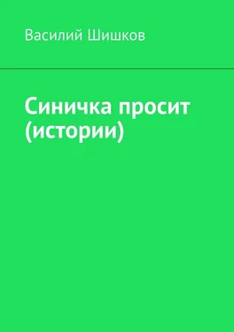 Василий Шишков Синичка просит (истории) обложка книги