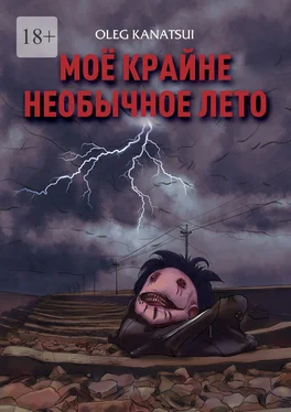 Oleg Kanatsui Моё крайне необычное лето обложка книги