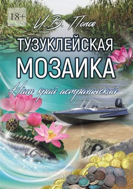 Попов Игорь Тузуклейская мозаика. Наш край астраханский обложка книги