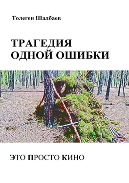 Толеген Шалбаев Трагедия одной ошибки. Это просто кино обложка книги