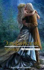 Эльфийские хроники - Истинная пара (СИ)