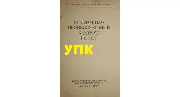 Можешь отпустить их сейчас и искать других фигурантов повесишь отделу не - фото 4