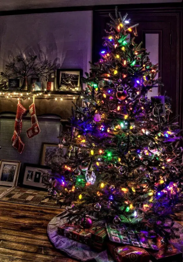 В комнате полумрак Горит только рождественский семисвечник и экран монитора - фото 1