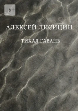 Алексей Лисицин Тихая гавань обложка книги