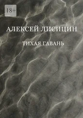 Алексей Лисицин - Тихая гавань