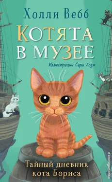Холли Вебб Тайный дневник кота Бориса обложка книги