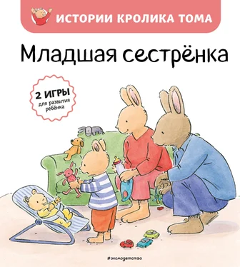 Кристоф Ле Масне Младшая сестрёнка обложка книги