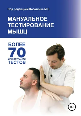 Михаил Касаткин Мануальное тестирование мышц обложка книги