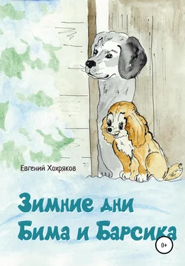 Евгений Хохряков Зимние дни Бима и Барсика обложка книги