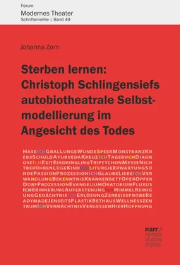 Johanna Zorn Sterben lernen: Christoph Schlingensiefs autobiotheatrale Selbstmodellierung im Angesicht des Todes обложка книги