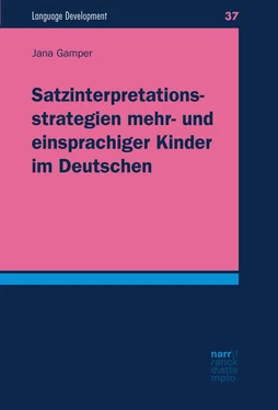 Jana Gamper Satzinterpretationsstrategien mehr- und einsprachiger Kinder im Deutschen обложка книги