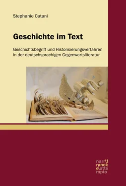 Stephanie Catani Geschichte im Text обложка книги