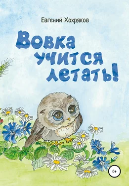 Евгений Хохряков Вовка учится летать! обложка книги