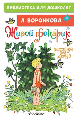 Любовь Воронкова Живой фонарик. Рассказы для детей обложка книги