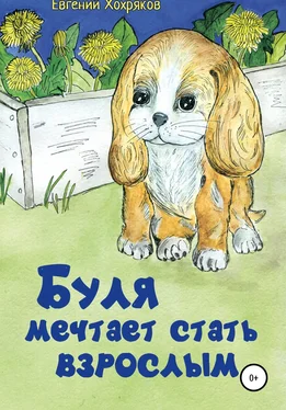 Евгений Хохряков Буля мечтает стать взрослым обложка книги