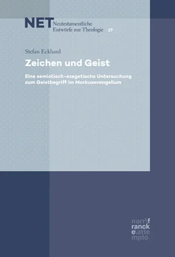 Stefan Eckhard Zeichen und Geist обложка книги
