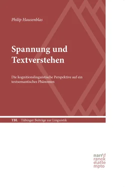 Philip Hausenblas Spannung und Textverstehen обложка книги