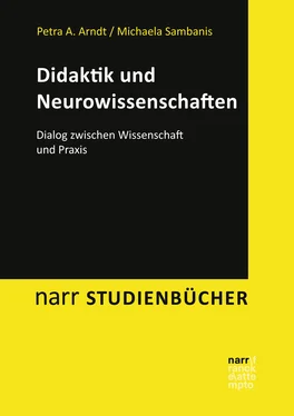 Michaela Sambanis Didaktik und Neurowissenschaften обложка книги