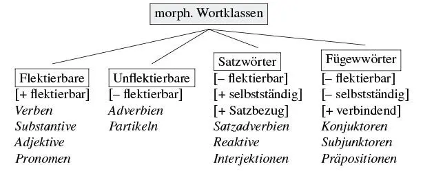 Abbildung 24 Morphologische Wortklassen 25 Das syntaktische Wort Die - фото 5