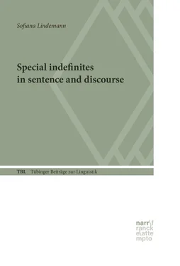 Sofiana Lindemann Special Indefinites in Sentence and Discourse обложка книги