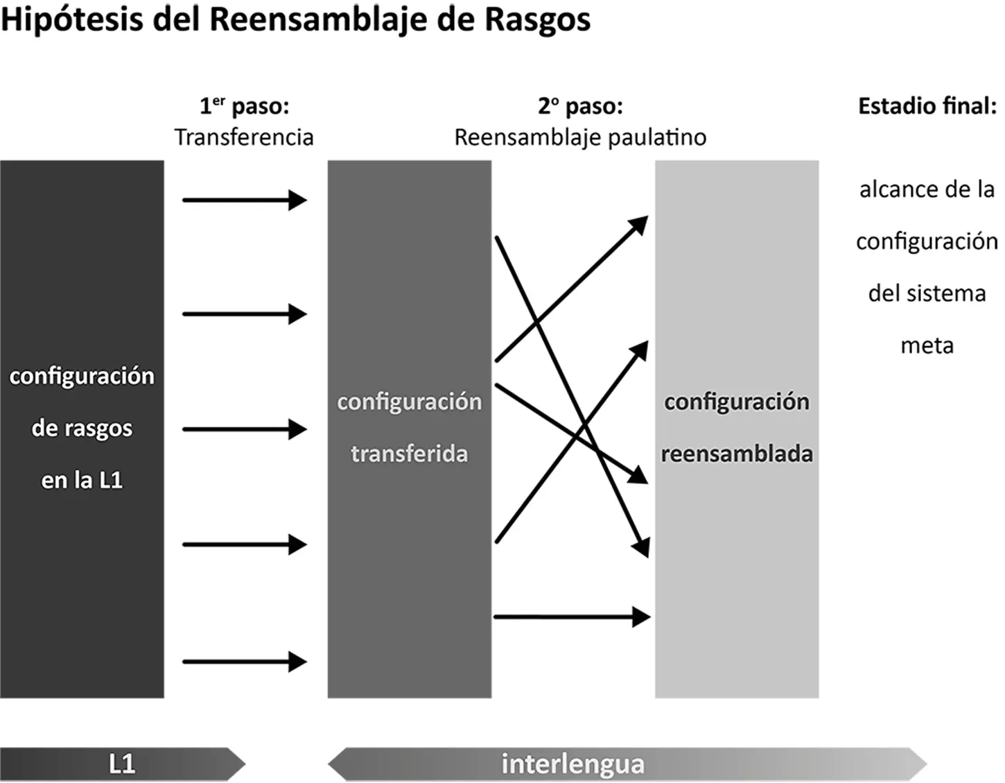 Figura 2 Ilustración de la Hipótesis del Reensamblaje de Rasgos 24 La - фото 3