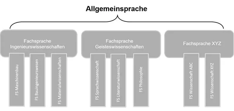Abbildung 16 Horizontale Gliederung der Fachsprachen Eine Unterteilung der - фото 6