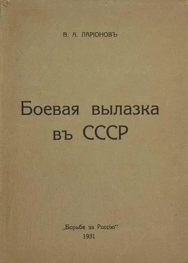 Виктор Ларионов Боевая вылазка в СССР