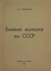 Виктор Ларионов - Боевая вылазка в СССР
