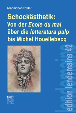 Lena Schönwälder Schockästhetik: Von der Ecole du mal über die letteratura pulp bis Michel Houellebecq обложка книги