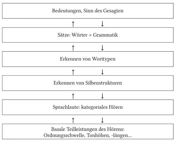 Beim Sprachverstehen verschwinden gleichsam die unteren Ebenen in den höheren - фото 6