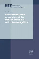 Anna Cornelius - Der auferstandene Jesus als erzählte Figur im Matthäus- und Lukasevangelium