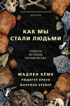 Мадлен Бёме Как мы стали людьми. Поиски истоков человечества обложка книги