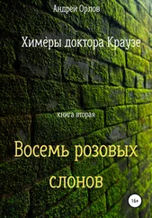 Андрей Орлов - Восемь розовых слонов