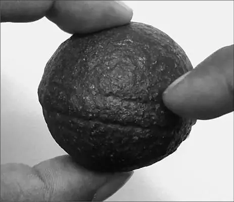 Шар с насечками из Южной Африки Предположение о том что сферические - фото 92