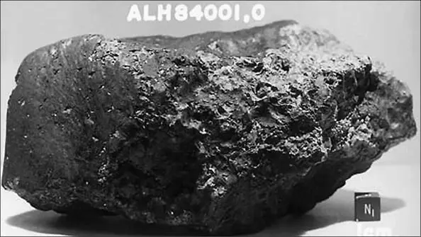 Марсианский метеорит ALH 84001 - фото 99