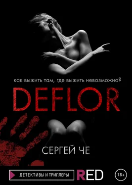 Сергей Че Deflor обложка книги