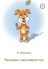 М Жернаков - Рассказы счастливого пса