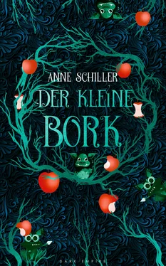 Anne Schiller Der kleine Bork обложка книги