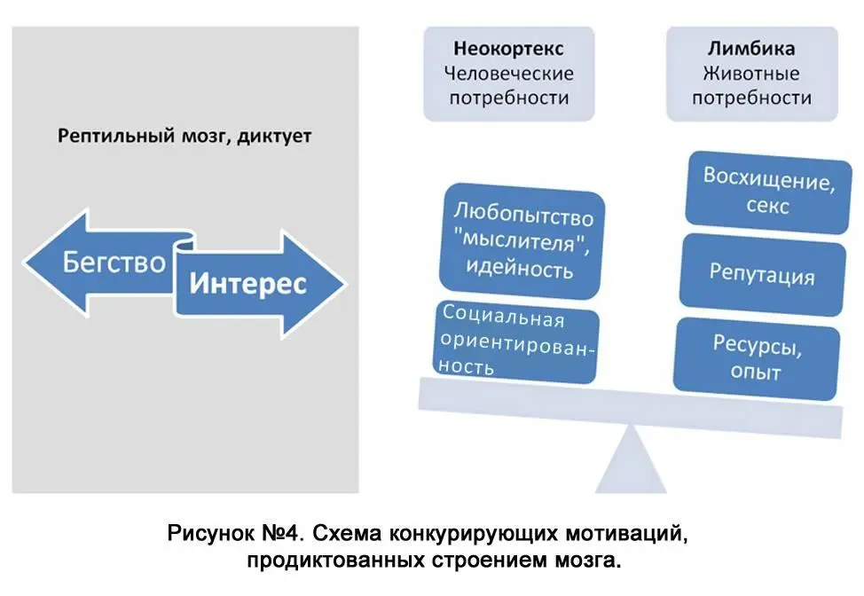 Делить людей на красных и белых на интровертов и экстравертов по типам - фото 4