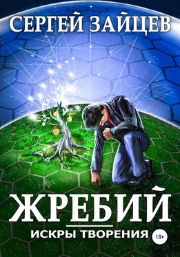 Сергей Зайцев Искры творения: Жребий обложка книги