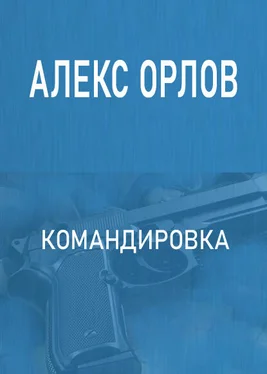 Алекс Орлов Командировка обложка книги