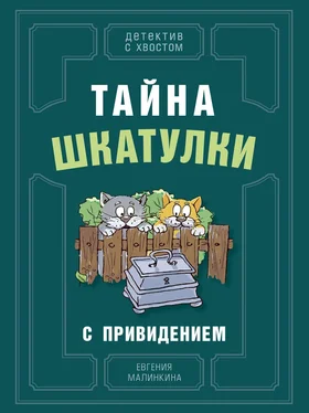 Евгения Малинкина Тайна шкатулки с привидением обложка книги
